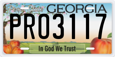 GA license plate PRO3117