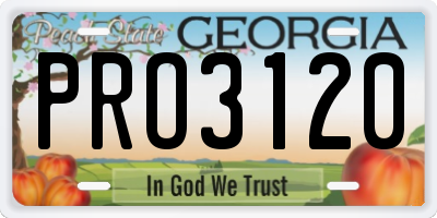 GA license plate PRO3120