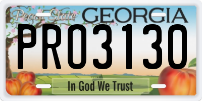 GA license plate PRO3130
