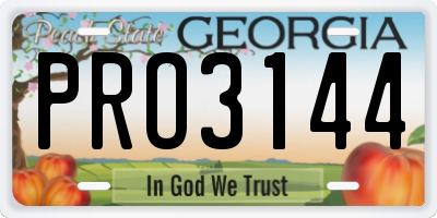 GA license plate PRO3144