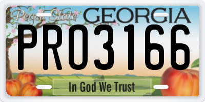 GA license plate PRO3166