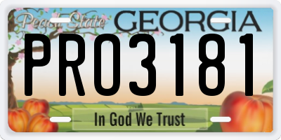 GA license plate PRO3181