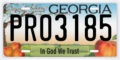 GA license plate PRO3185