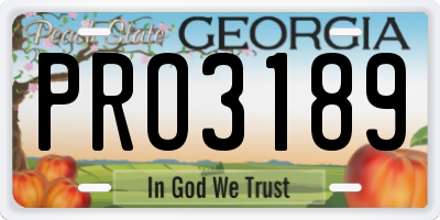 GA license plate PRO3189