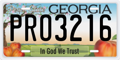 GA license plate PRO3216