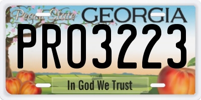 GA license plate PRO3223