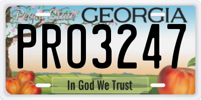 GA license plate PRO3247