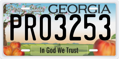 GA license plate PRO3253