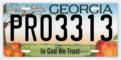 GA license plate PRO3313