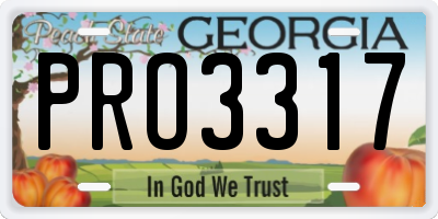 GA license plate PRO3317