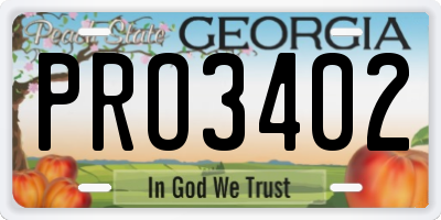 GA license plate PRO3402