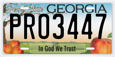 GA license plate PRO3447