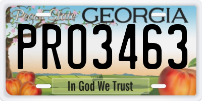 GA license plate PRO3463