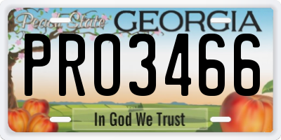 GA license plate PRO3466