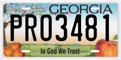 GA license plate PRO3481