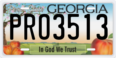 GA license plate PRO3513