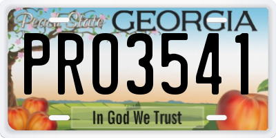 GA license plate PRO3541