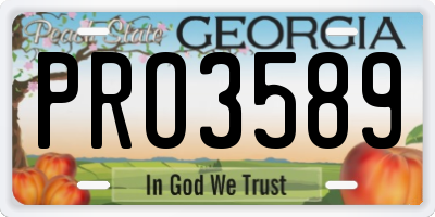 GA license plate PRO3589