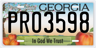 GA license plate PRO3598