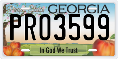 GA license plate PRO3599