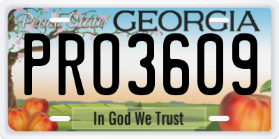 GA license plate PRO3609