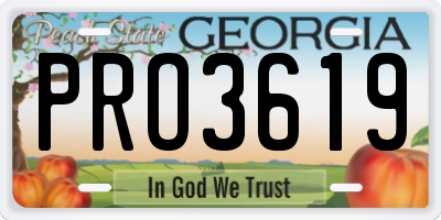GA license plate PRO3619