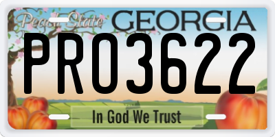 GA license plate PRO3622