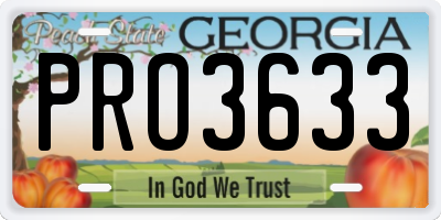GA license plate PRO3633