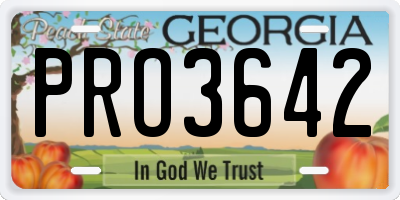 GA license plate PRO3642