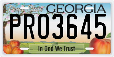 GA license plate PRO3645