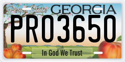GA license plate PRO3650