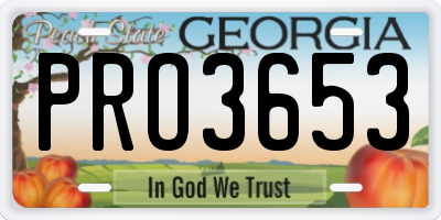 GA license plate PRO3653