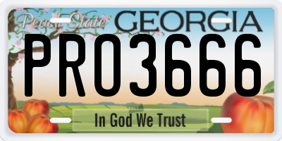 GA license plate PRO3666