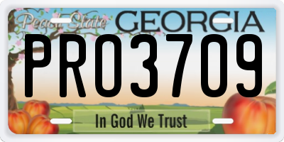 GA license plate PRO3709