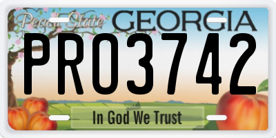 GA license plate PRO3742