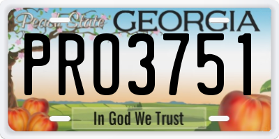 GA license plate PRO3751