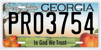 GA license plate PRO3754