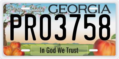 GA license plate PRO3758