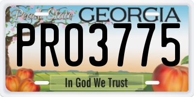 GA license plate PRO3775