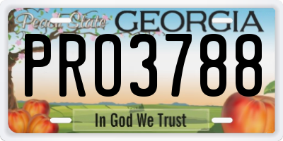 GA license plate PRO3788