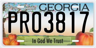 GA license plate PRO3817