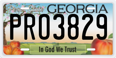GA license plate PRO3829