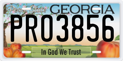 GA license plate PRO3856