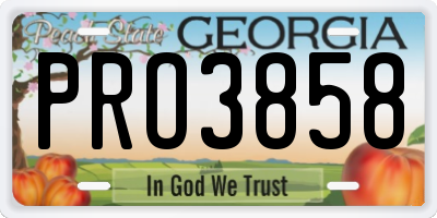 GA license plate PRO3858
