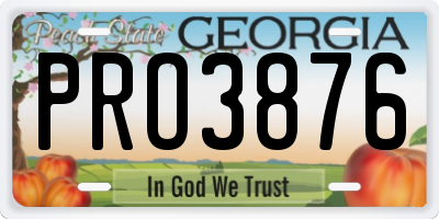 GA license plate PRO3876
