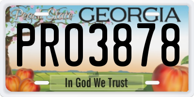 GA license plate PRO3878