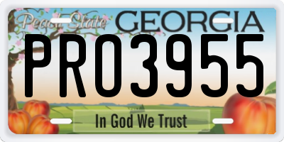 GA license plate PRO3955