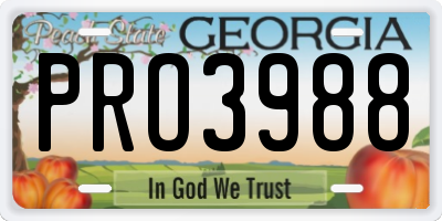GA license plate PRO3988