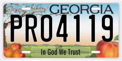 GA license plate PRO4119