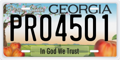 GA license plate PRO4501
